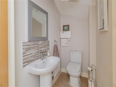 Picture 15
